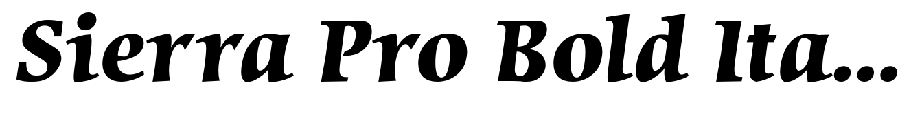Sierra Pro Bold Italic